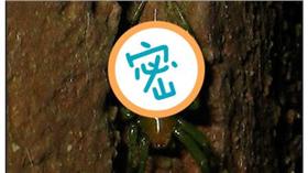 黑綠圓蛛百度 16:9