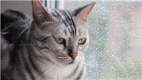 下雨、鋒面、雨天、天氣-blue（Shutterstock／達志影像）