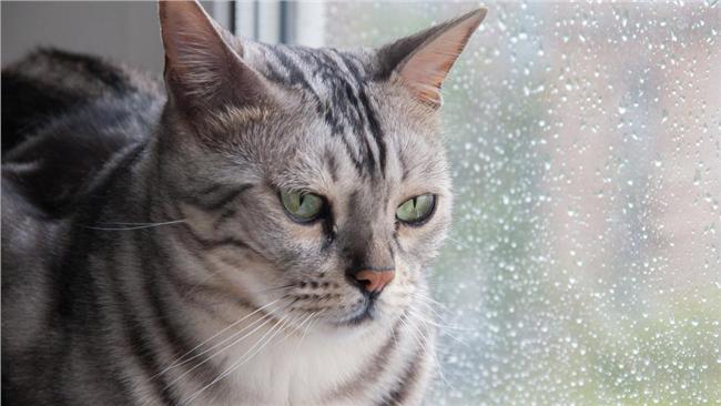 跨年夜溫度低恐飄雨　各地氣候一覽