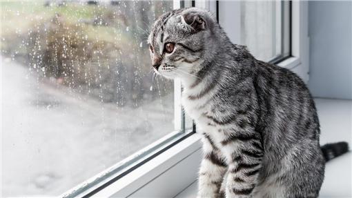 下雨、鋒面、雨天、天氣-blue（Shutterstock／達志影像）