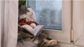 下雨、鋒面、雨天、天氣、寒流、低溫、冷氣團-blue（Shutterstock／達志影像）