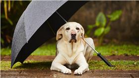 下雨、鋒面、雨天、天氣-blue（Shutterstock／達志影像）