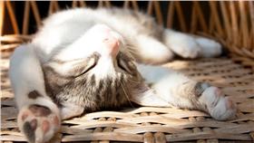 放晴、陽光、回暖、晴天、天氣-blue（Shutterstock／達志影像）