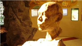 左鎮人/圖截自維基百科