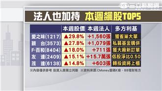 大咖不在台股急凍　量能創一年新低