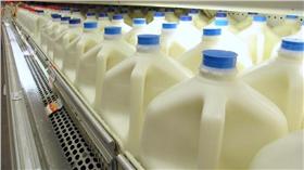 鮮奶_圖／www.bluewaikiki.com,flickr CC License 