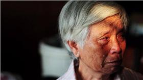 汪菊阿嬤 圖/翻攝自綠黨臉書