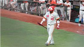 張泰山（圖／王怡翔攝）