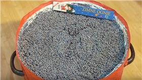 仙女棒－圖／翻攝自SlivkiShow YouTube