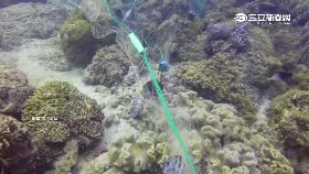 墾丁偷捕魚0600.