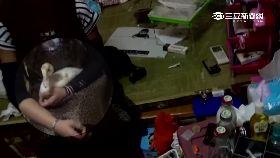 查毒被鴨啄G1200