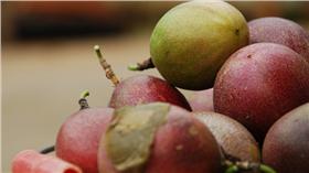 百香果／圖／攝影者Rick Chung, flickr CC License
https://www.flickr.com/photos/rickchungattw/7472011080/