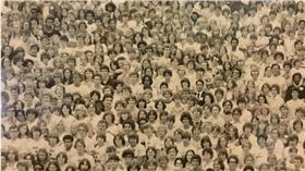 尋找貓熊－圖／翻攝自「Boredpanda」網站
