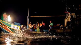 魚種大量銳減　台灣快成「無魚島」