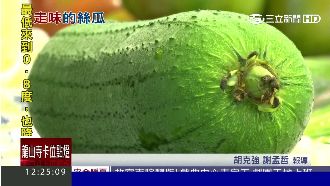 「苦味」絲瓜下肚　竟讓他腹瀉三天