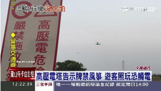 高壓電塔告示禁放風箏　遊客大膽照玩