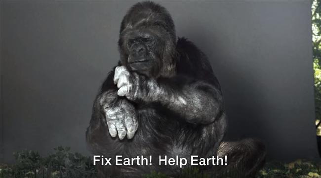 母猩猩比手語　懇求人類保護地球