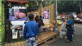 大橘子追思會/要求台大將澳生殺貓犯退學與刑責重罰+境管臉書專頁