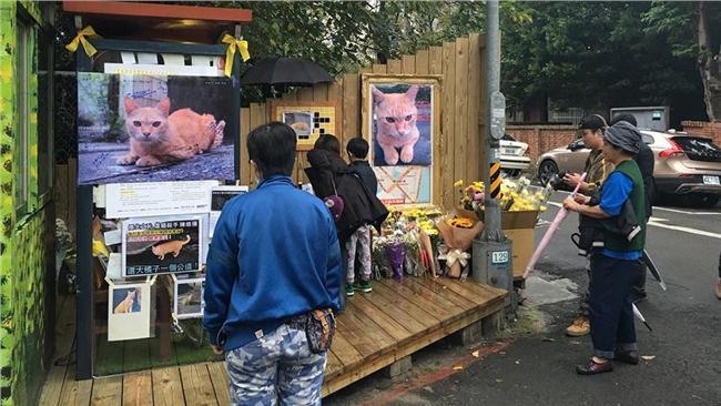 長輩看了毛毛的「大橘子靈堂」被清空