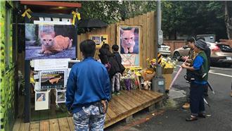 長輩看了毛毛的「大橘子靈堂」被清空