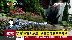 名車傘被告1800