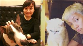 ▲何韻詩親自祝福鄭宜農。（圖／翻攝自鄭宜農、何韻詩臉書）