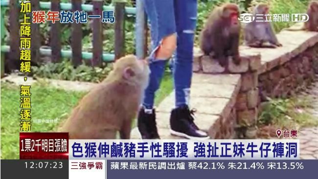 猴年最囂張！　抓破正妹褲子還不道歉