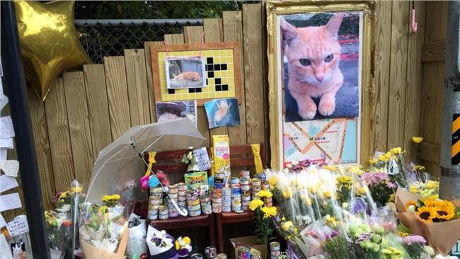 台大連刪引戰文　遭諷「超級玻璃心」