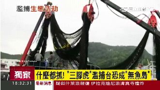 「三腳虎」濫捕過頭　台灣恐成無魚島
