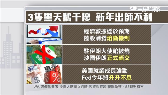 3隻黑天鵝干擾　新年出師不利