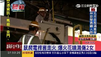 電線走火是牠惹的禍　火花噴濺傷2女