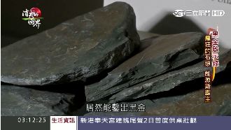 瘋狂的石頭　能源「新霸主」誕生