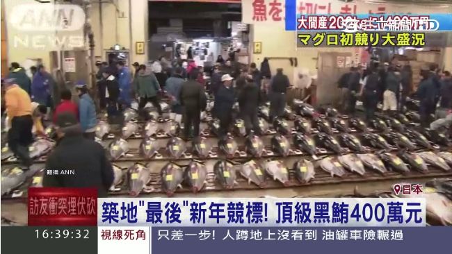 築地黑鮪魚飆天價！一隻台幣近4百萬
