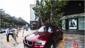 BMW,植樹／翻攝自佛山日報