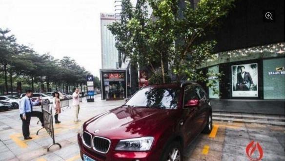 集滿這三要素　就能得到「盆栽車」
