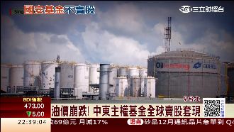 主權基金賣股套現　台股持股公開