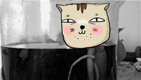 人蔘／翻攝自網易