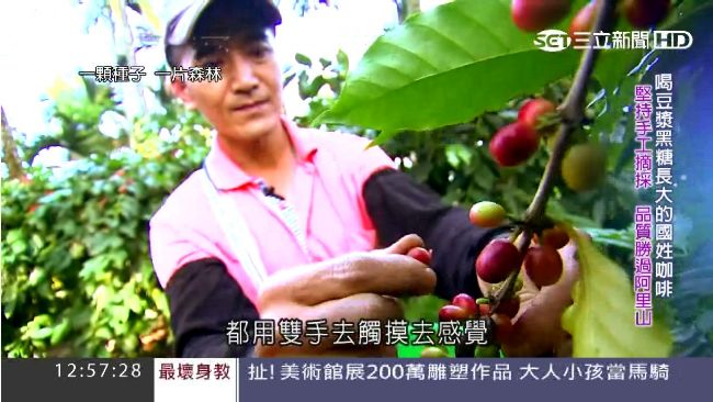 一顆種子一片森林　國姓咖啡的故事