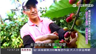 一顆種子一片森林　國姓咖啡的故事