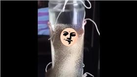 老鼠,刑求,虐待動物／擷自YouTube