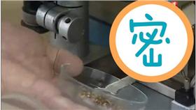 生化老鼠－圖／翻攝自《每日郵報》