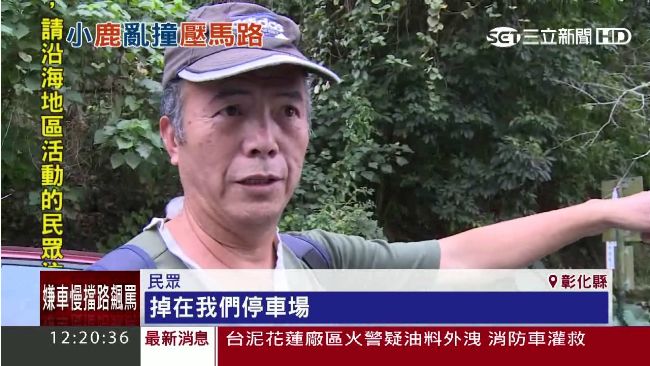 開車突有龐然大物衝出　駕駛驚呆嚇壞