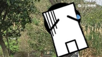 逛動物園驚見她在樹上　小朋友看傻眼