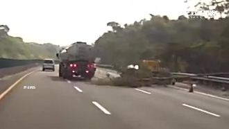 國道驚見樹倒　30公噸貨車急閃險翻