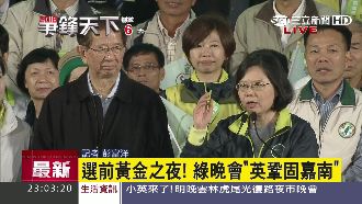 李遠哲挺蔡　盼民進黨當第三勢力大哥