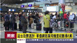 想返台投票　她網路買飛機里程損8萬