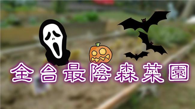 路過險嚇死！全台最「陰森」菜園在這