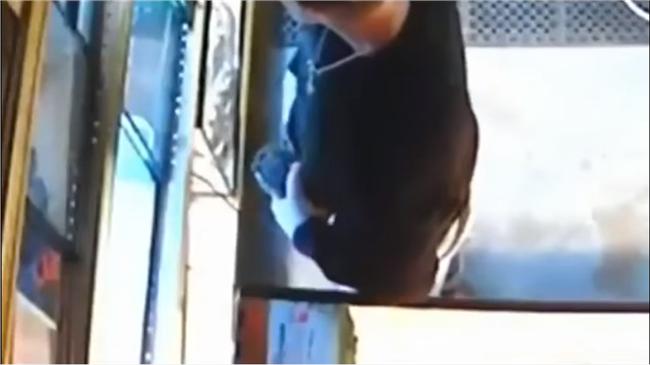 不怕被大蛇咬GG　男賊偷蟒蛇藏褲檔