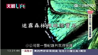 小鏡頭大視野　拍出金鐘台灣生態之美