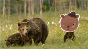 小熊練詠春-圖／翻攝自《鏡報》
